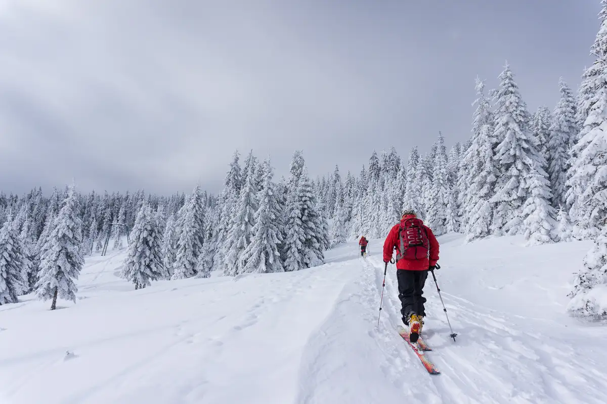  La-schi-in-Vladeasa  - Banda Rosie