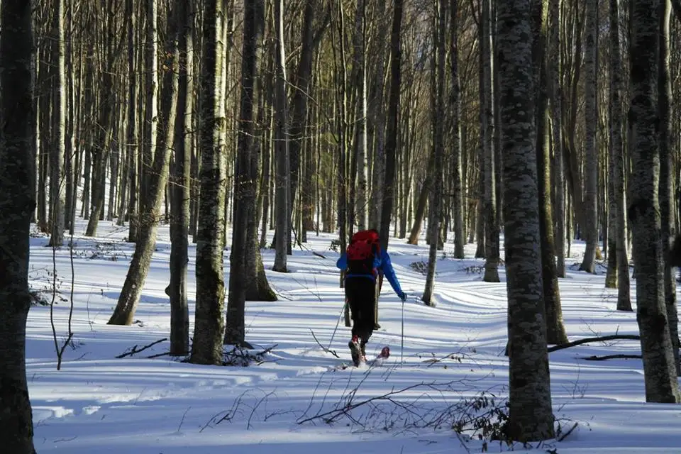  Schi de tura in Ciucas