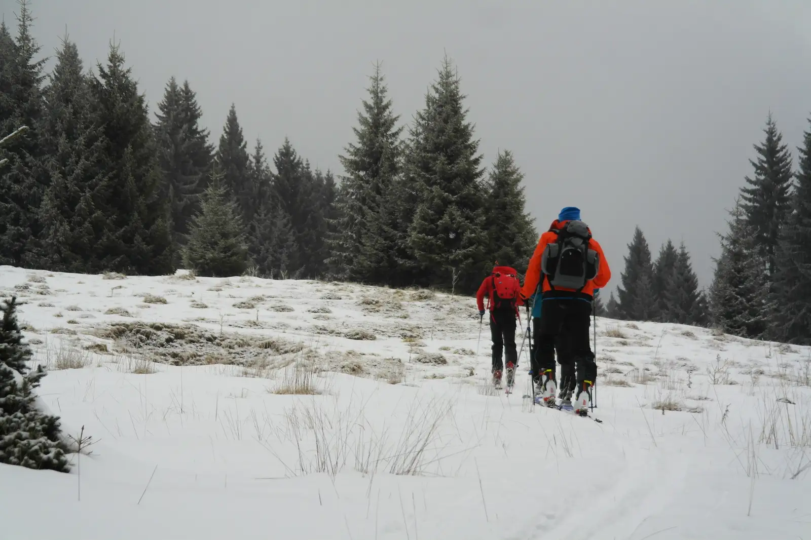  Schi de tura in Bucegi