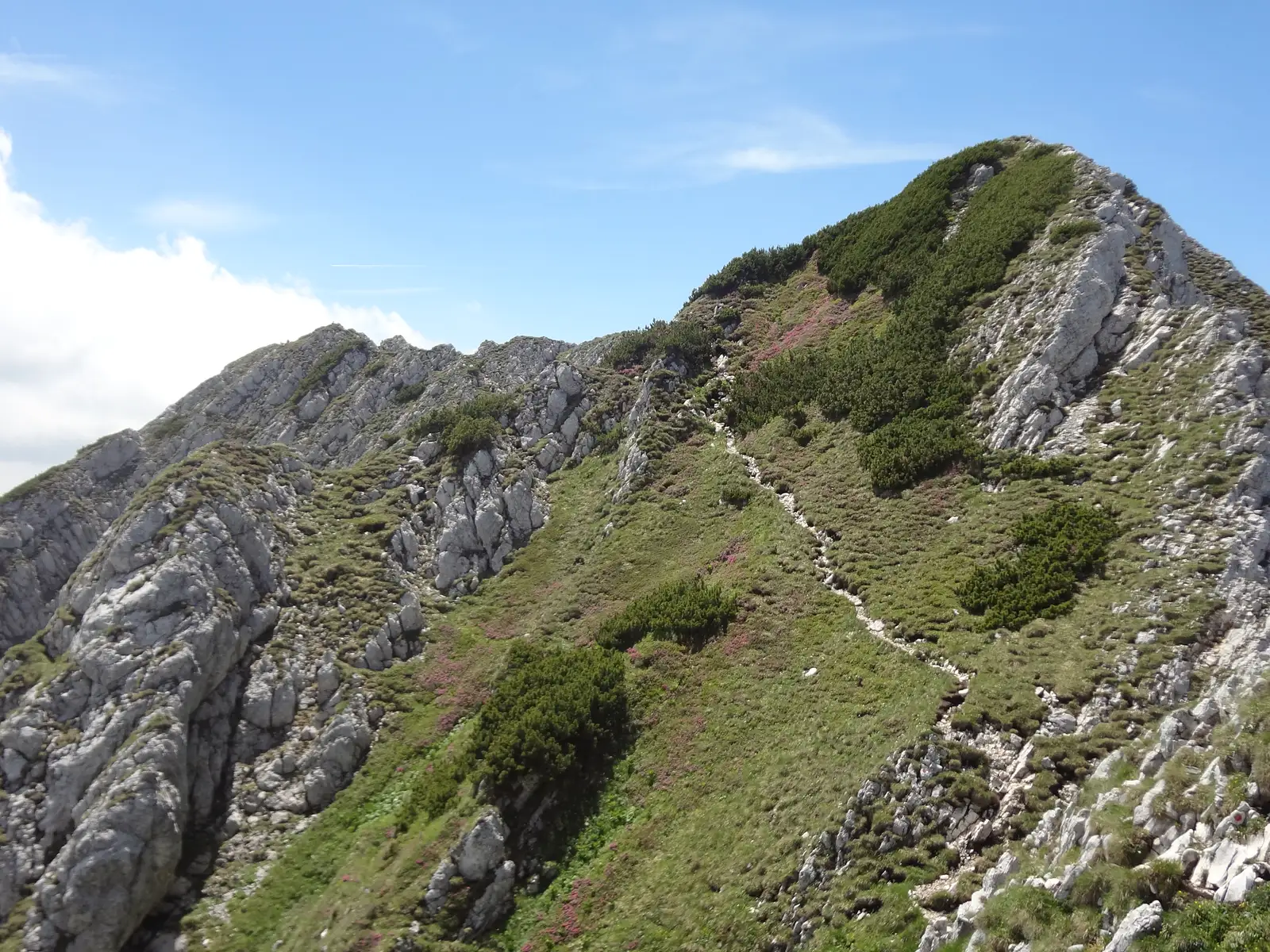  Creasta Sudica a Pietrei Craiului