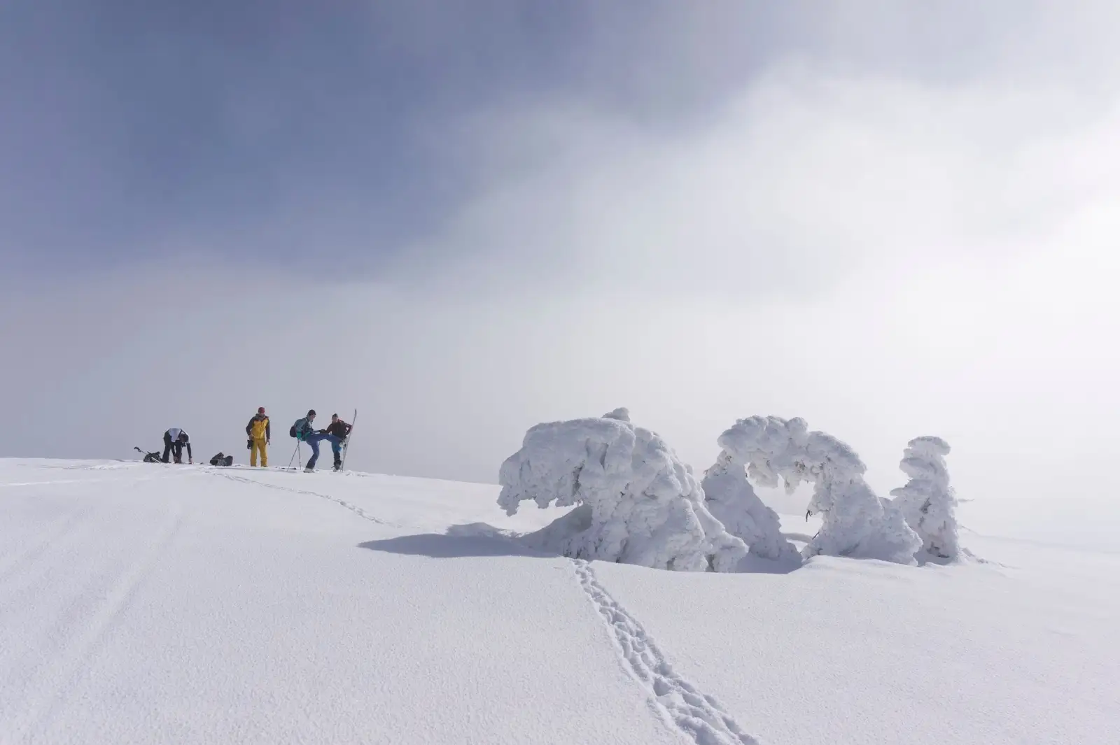  spre_saua_cumpanatelul