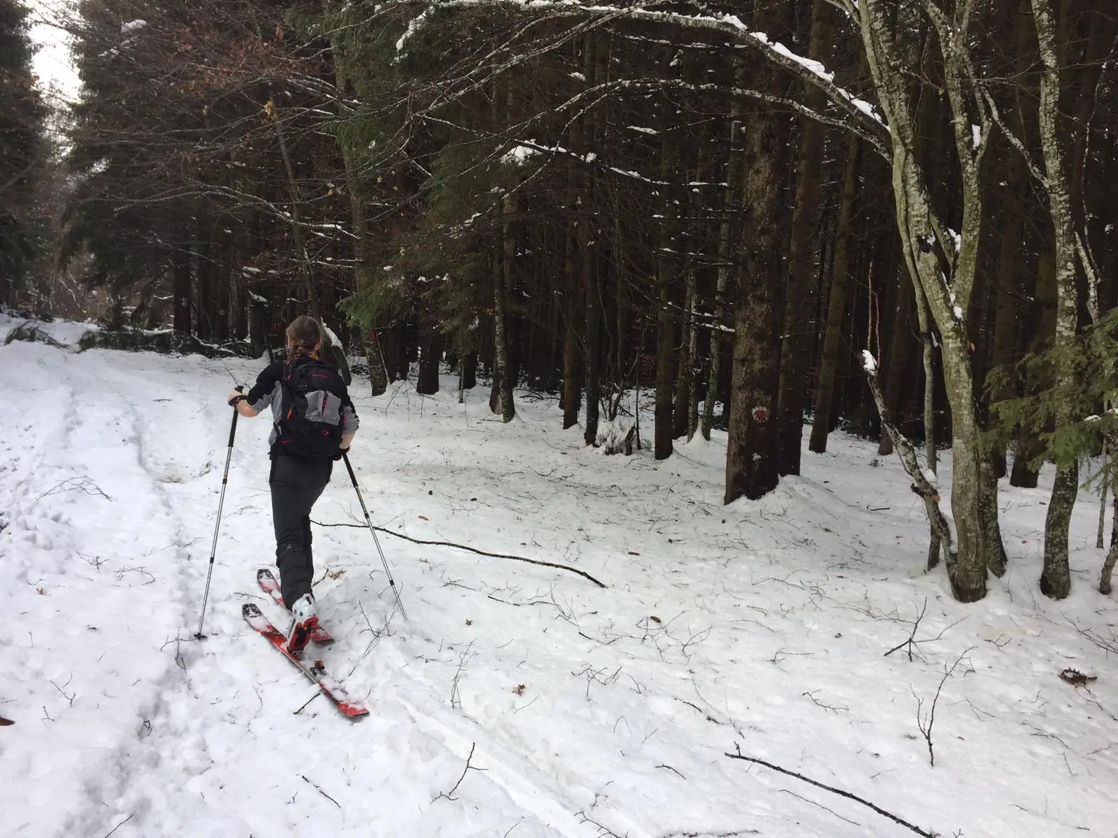  Urcare lateral partia de schi