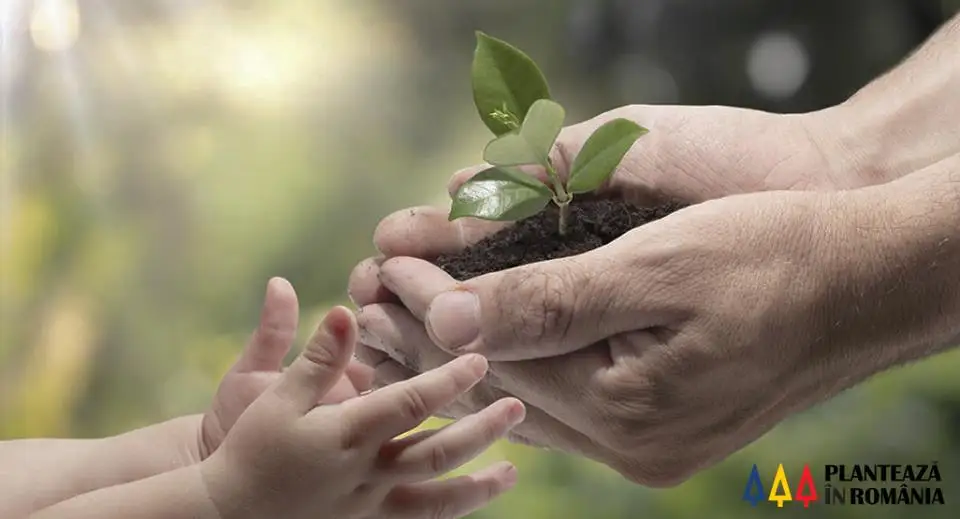  Planteaza in Romania