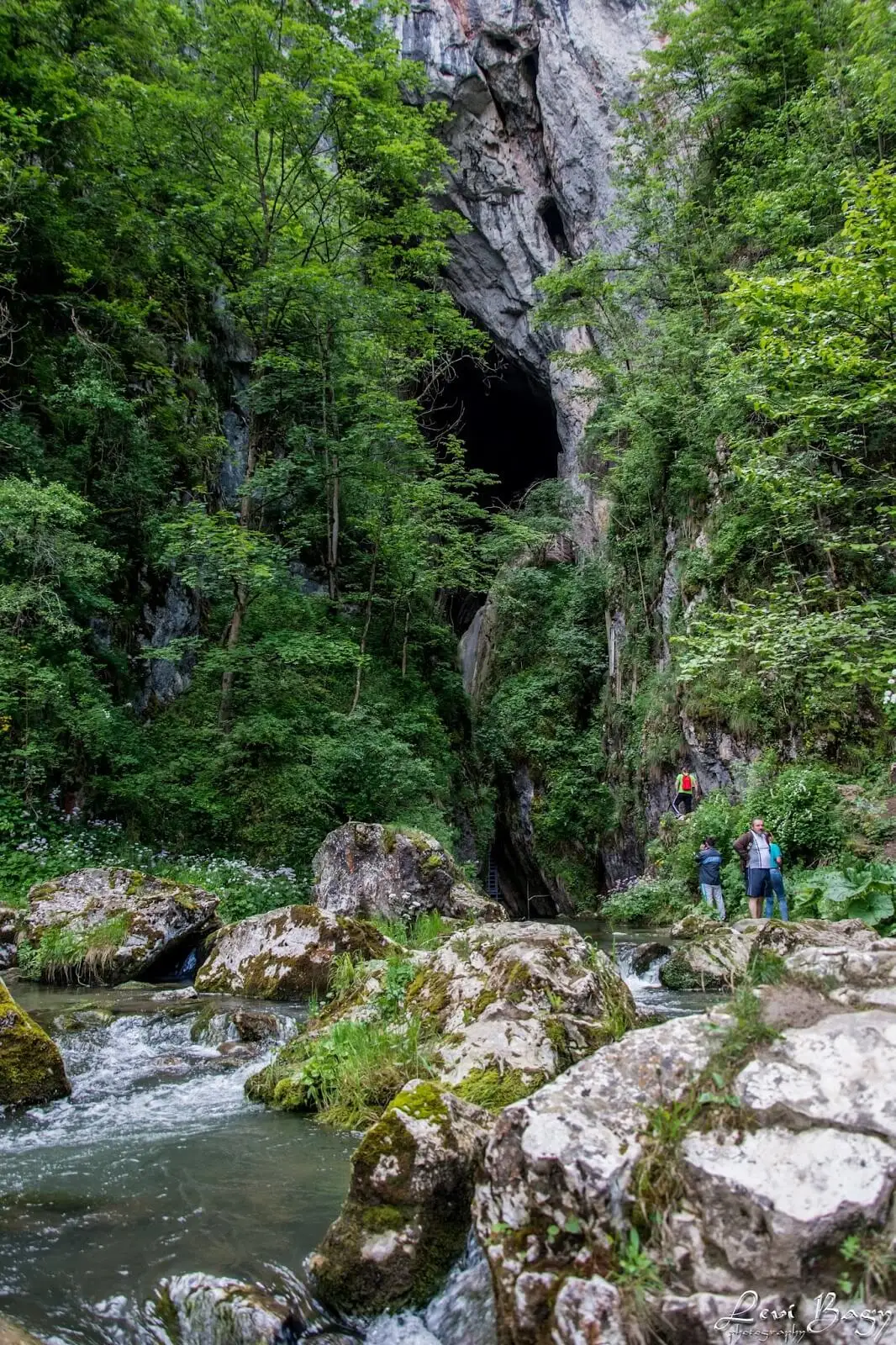  Huda lui Papară - Levi Bagy Photography