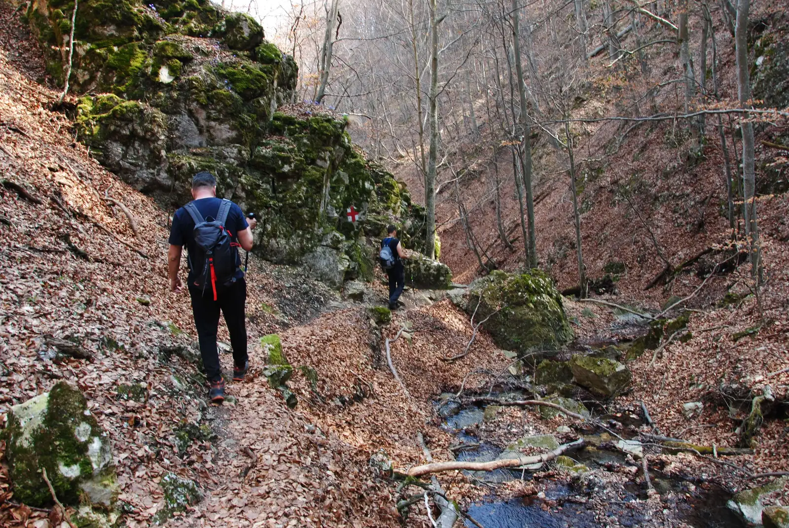  Cheile Plaiului - Ionel Ilovan