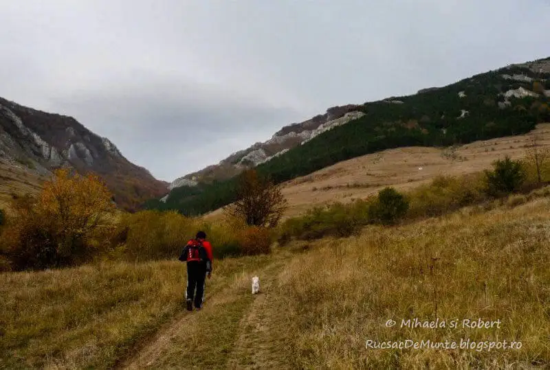  Spre Cheile Plaiului - Rucsac de Munte