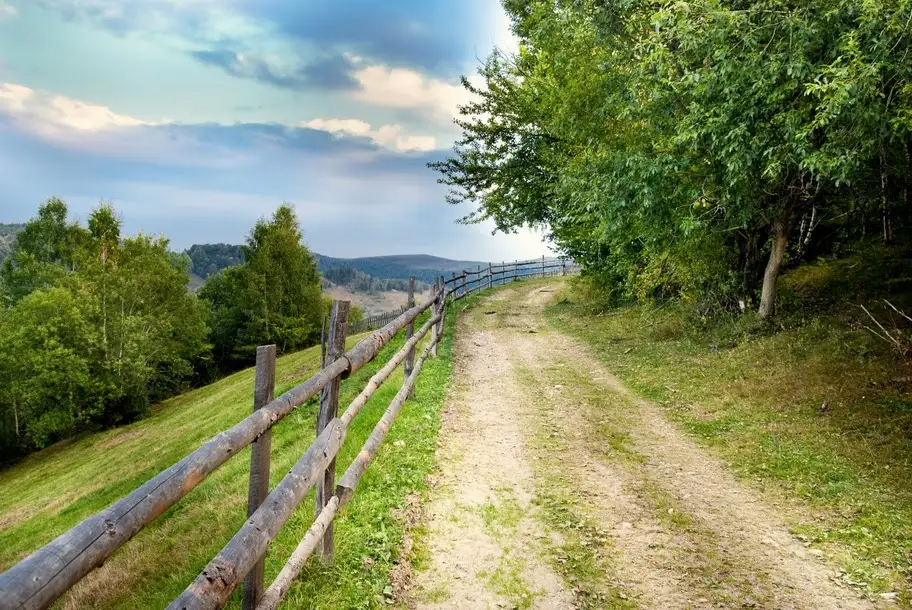  Drum pe dealul Penelor - Marian Poara - Banda Rosie