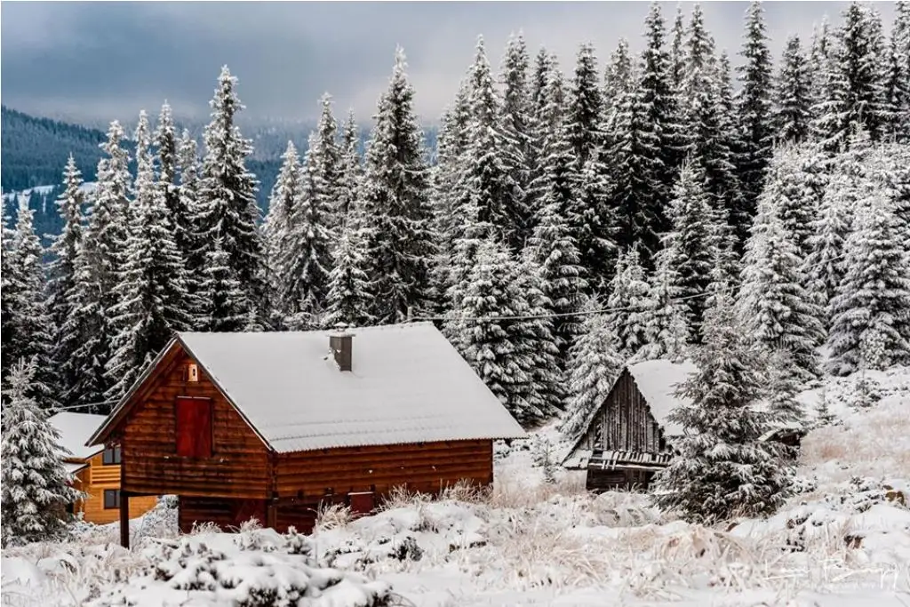  Buscat - M Baisorii - Levi Bagy Photography