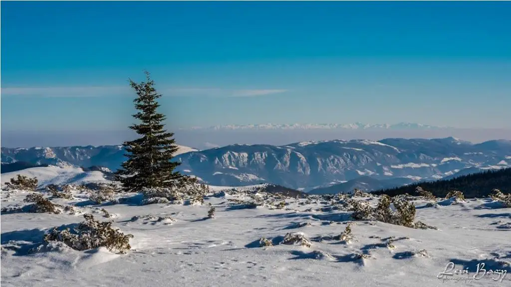  Buscat -spre Abruptul Bedeleu - Levi Bagy Photography