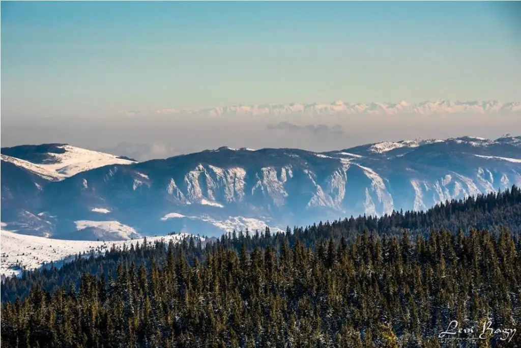  Iarna in Apuseni -  Levi Bagy Photography