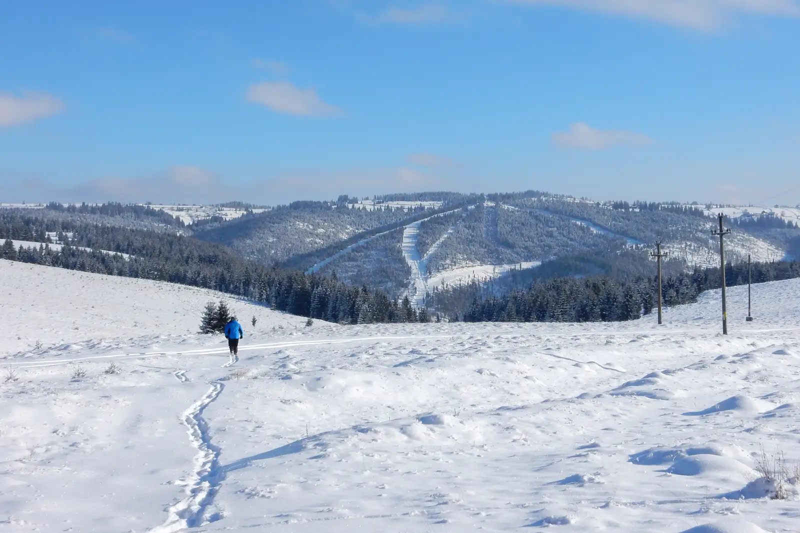  Vedere spre Marisel si partia Copcea