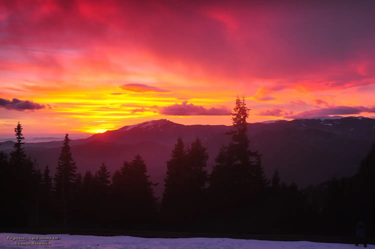  vedere spre buila la apus