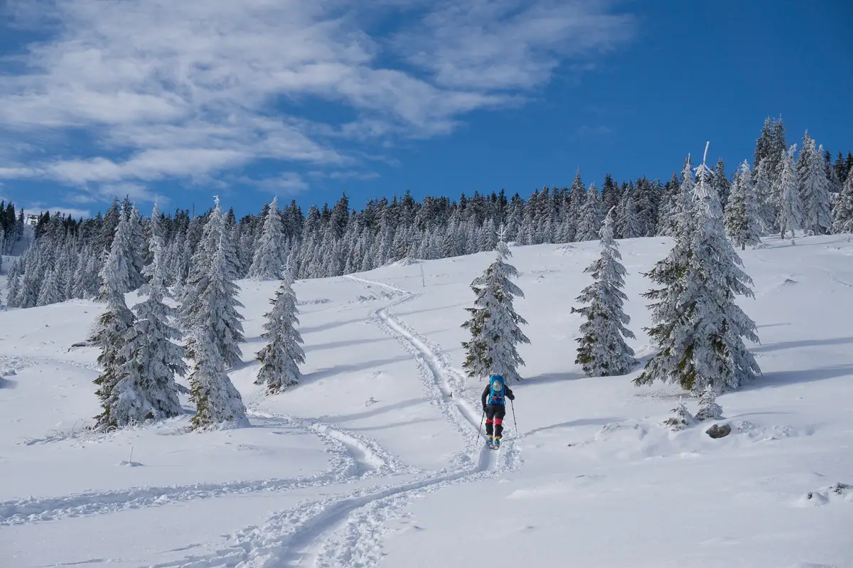  schi-de-tura-in-Vladeasa -  cover - Banda Rosie