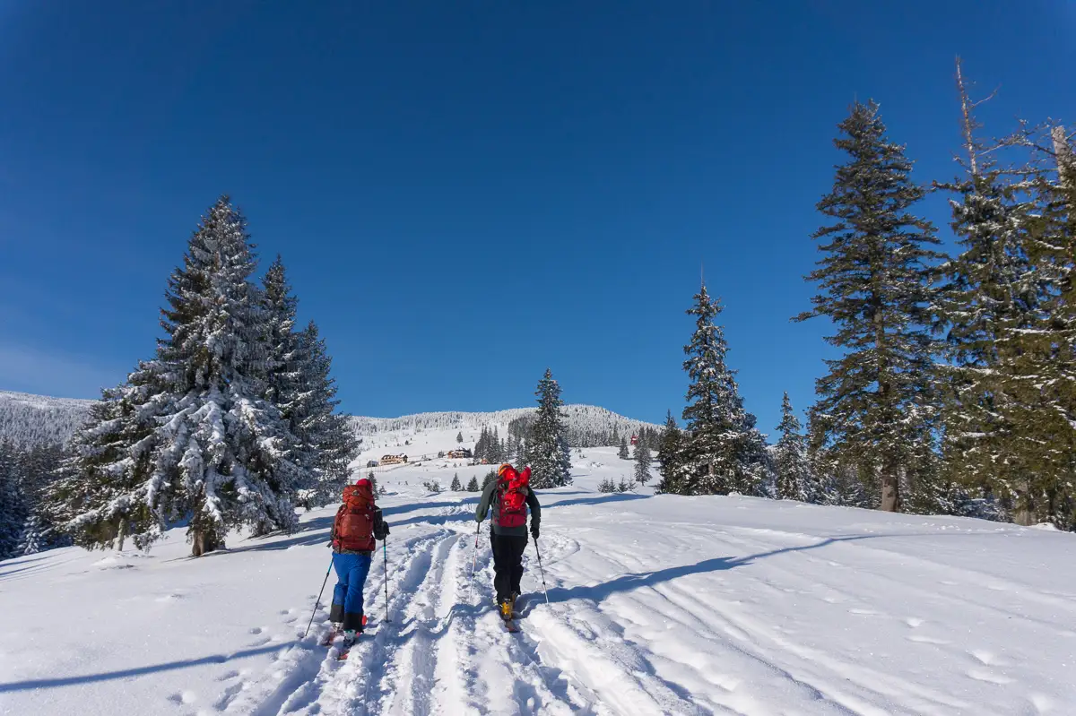  urcand-la-cabana-Vladeasa-dinspre-Rogojel - Banda Rosei