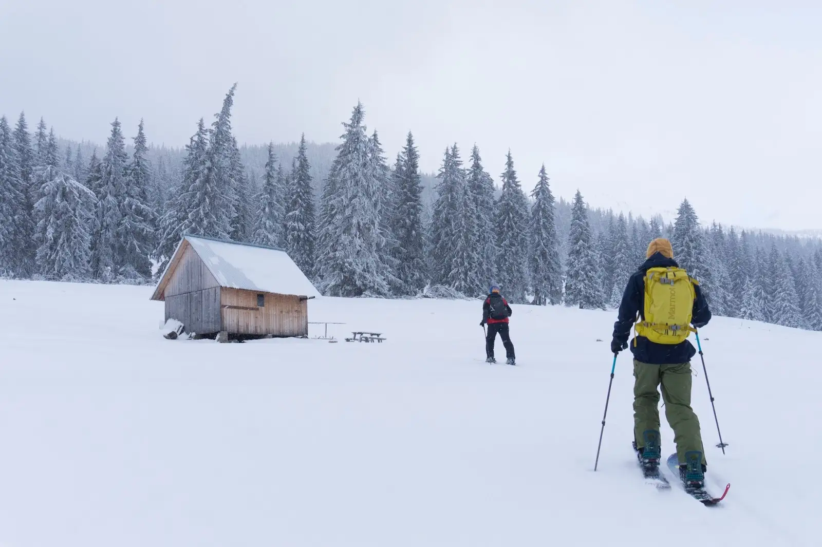  iarna-in-poiana-Faget-muntii-Vladeasa