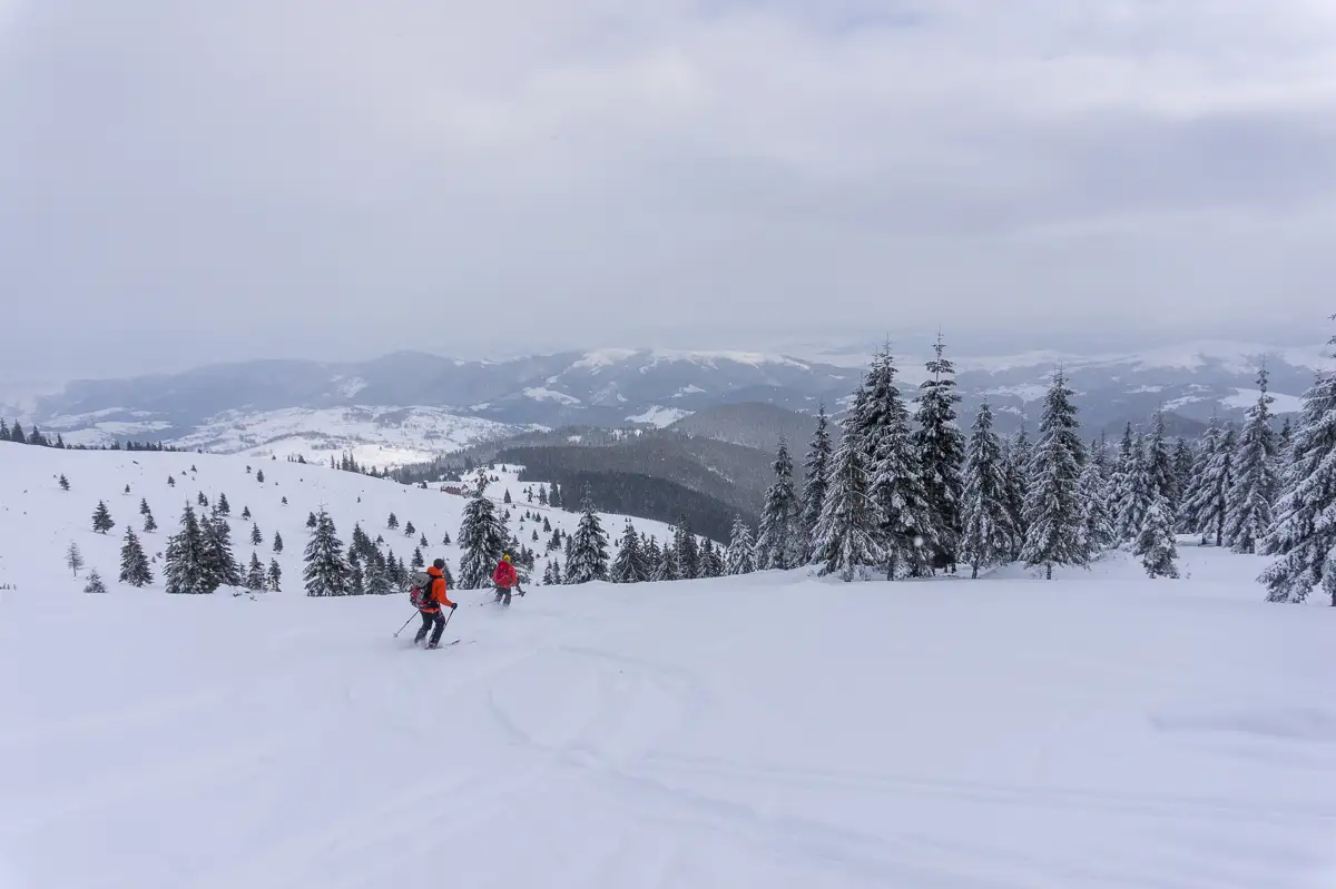  la-schi-in-Vladeasa - Banda Rosie