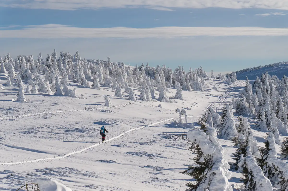  schi-de-tura-in-Vladeasa -  cover - Banda Rosie