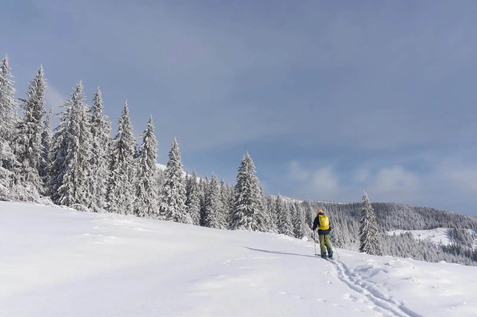  iarna-in-Vladeasa -  cover - Banda Rosie