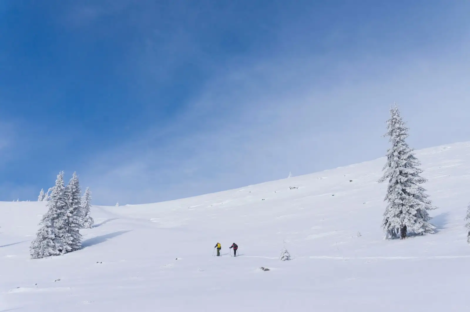  schi-de-tura-in-Vladeasa - Banda Rosie