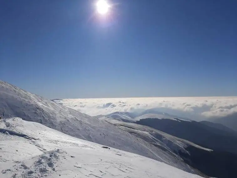  spintecatura papusii 2