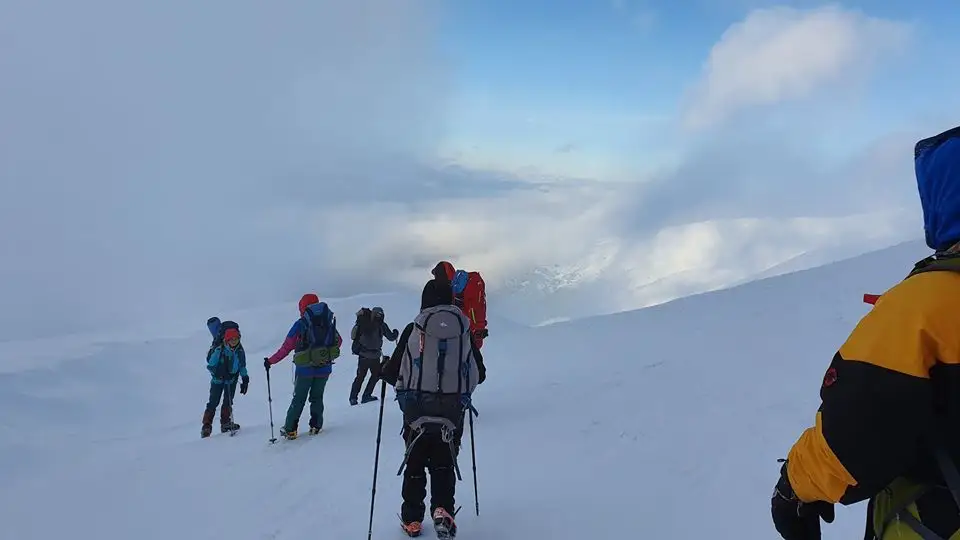  spintecatura papusii 1