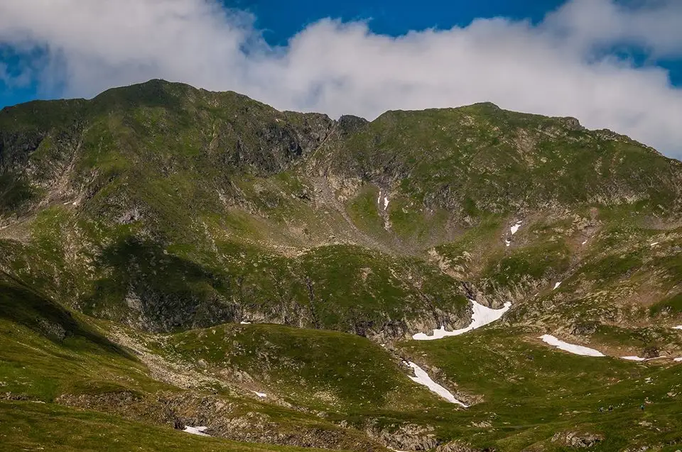  Culmea Moldoveanu - Vistea -  Morar Daniel