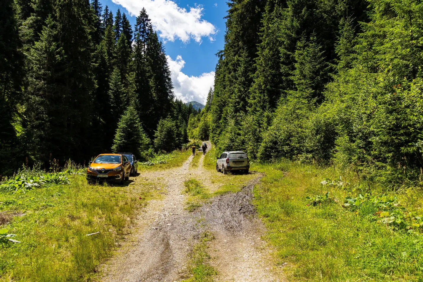  La Valtoare - capatul drumului Valea Lala - Andrei Pahomi - CalatoriileLuiAndrei