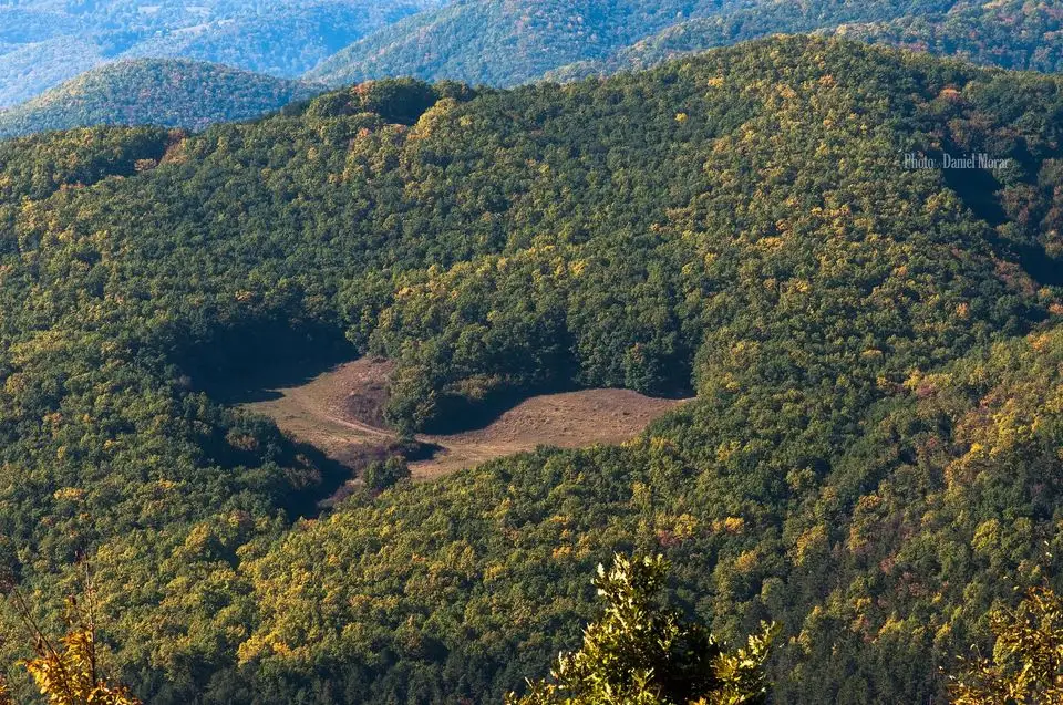  Poiana Dragostei (Poiana Inimă) de lângă Bucerdea - Daniel Morar