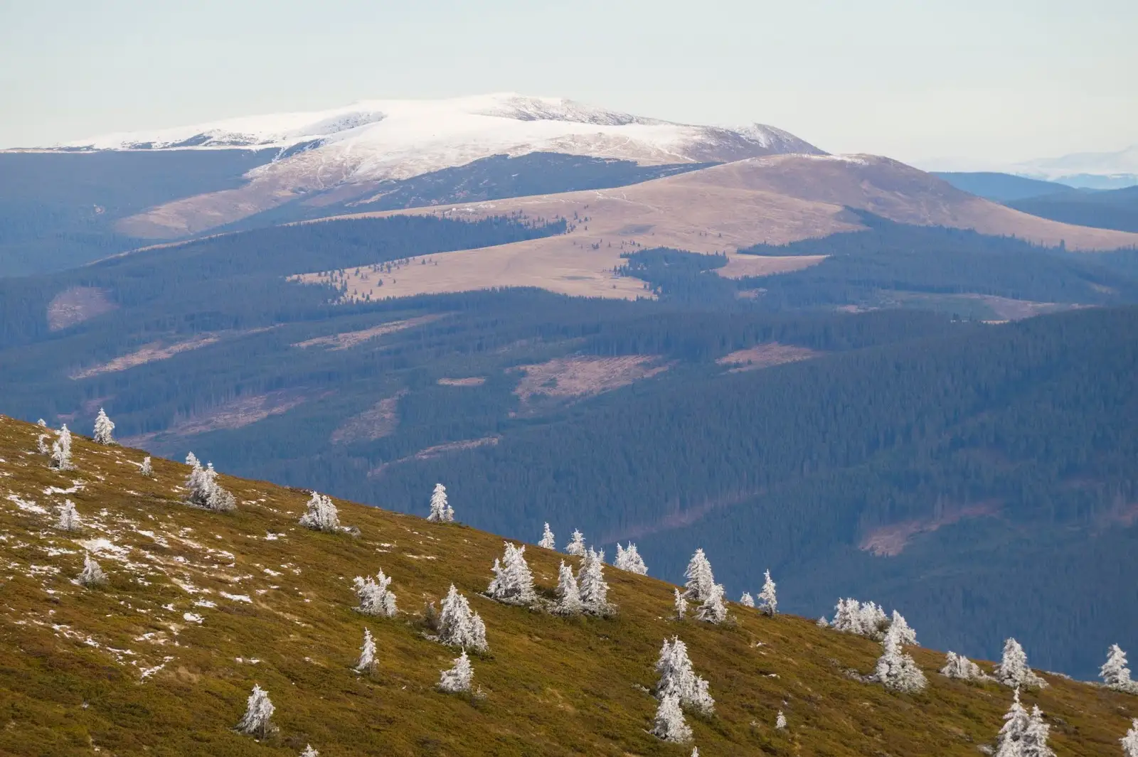 Masivul-Cindrel-vazut-de-pe-varful-Sureanu - Alina Cirja