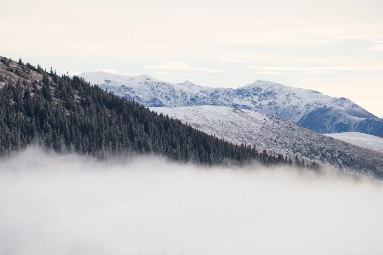 O parte-din-creasta-Parangului-vazuta-din-Sureanu - Alina Cirja