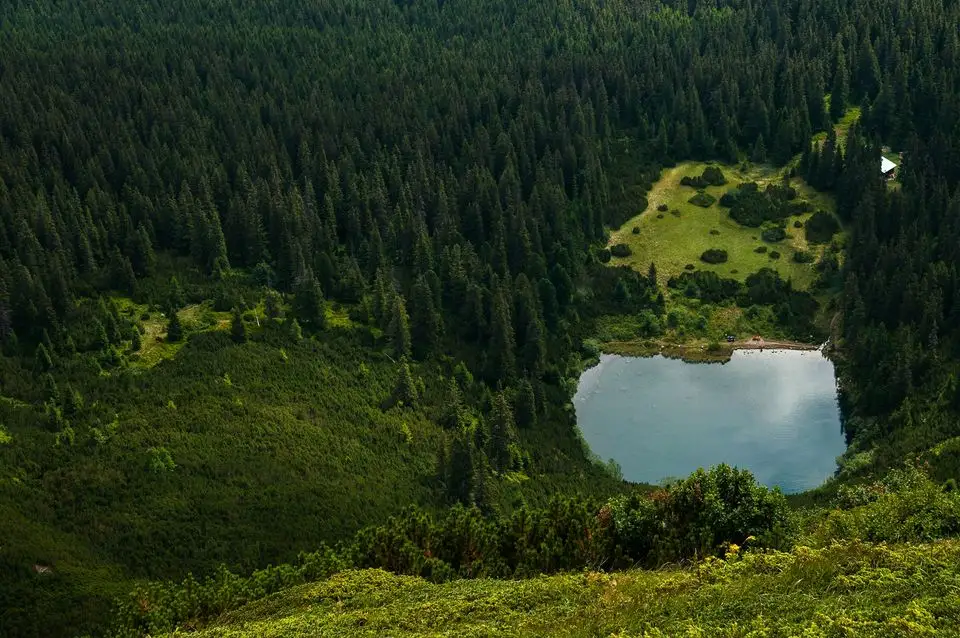  Iezerul Șureanu, inconjurat de padure - Daniel Morar