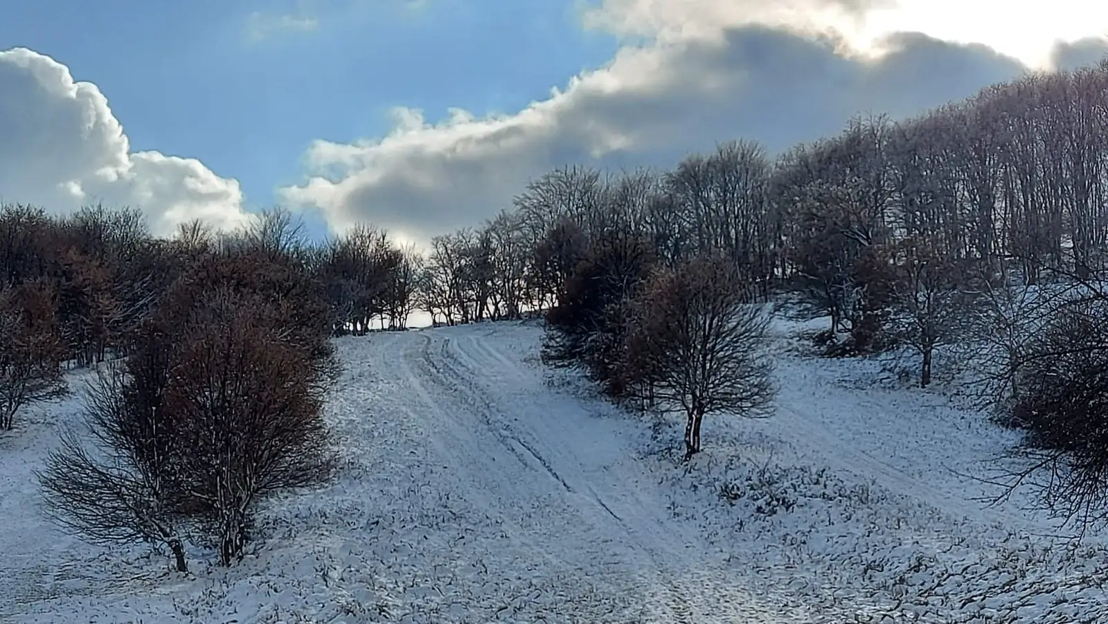  Lumini si umbre - Manu Muntomanu