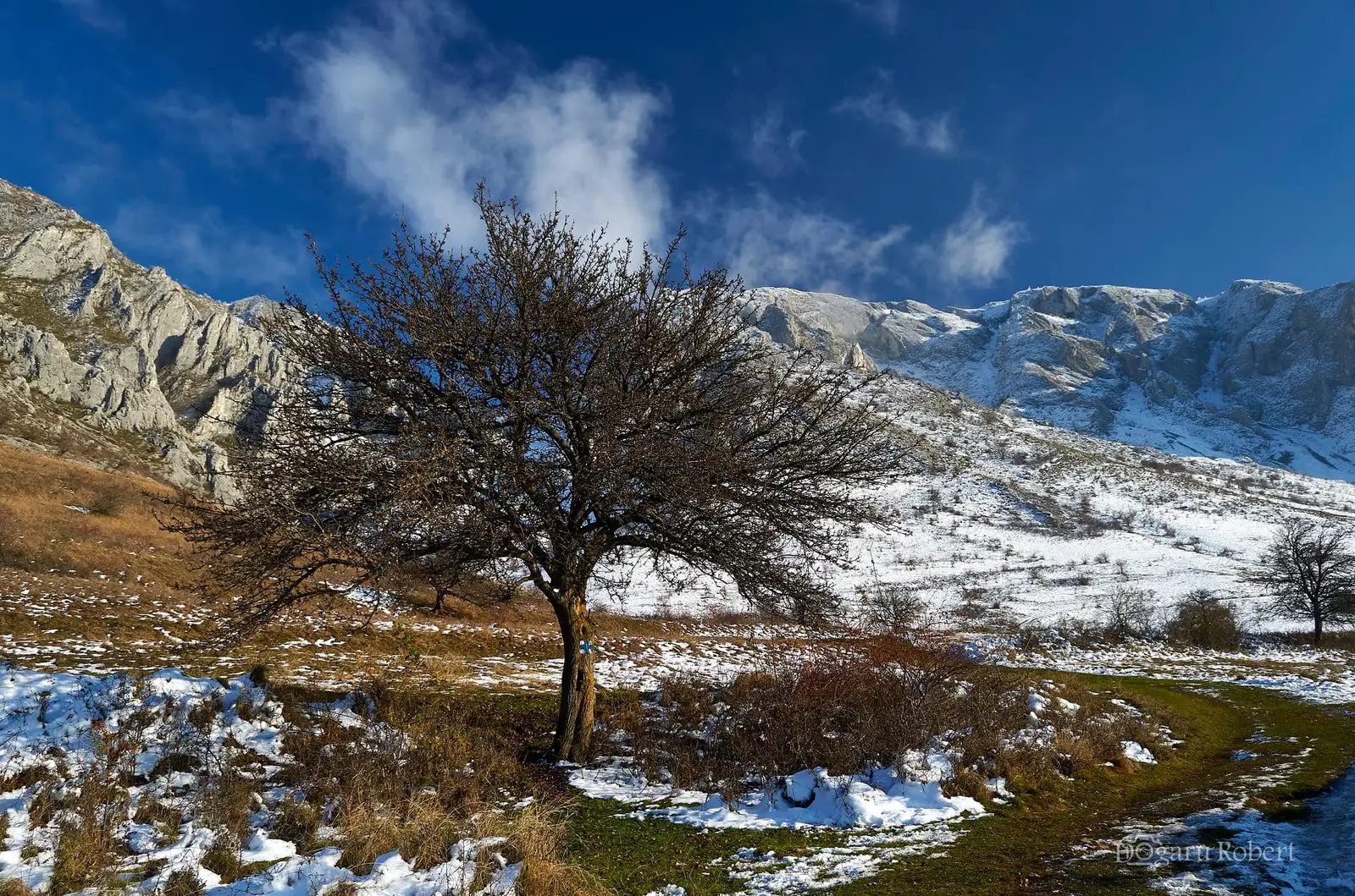  Poteca spre sau dintre Coltii Trascaului si Piatra Secuiului - Robert Dogaru