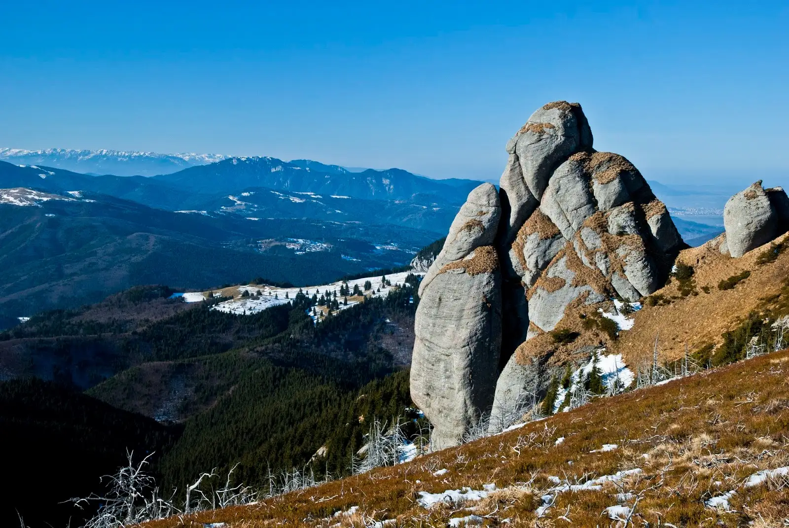 Turnul lui Goliat - Marian Poara - Banda Rosie