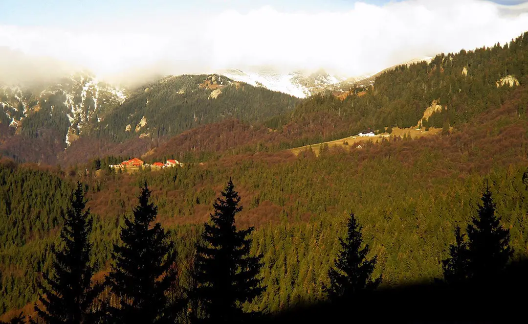  Vedere spre Muntele Rosu - foto Robert Popa