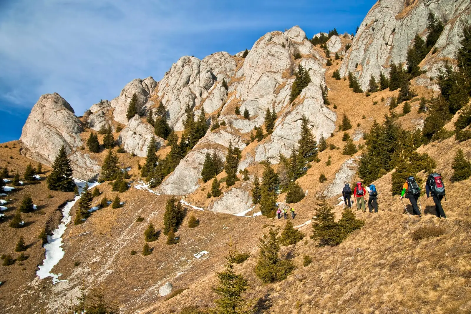  Poteca spre Vf. Zaganu - Marian Poara - Banda Rosie
