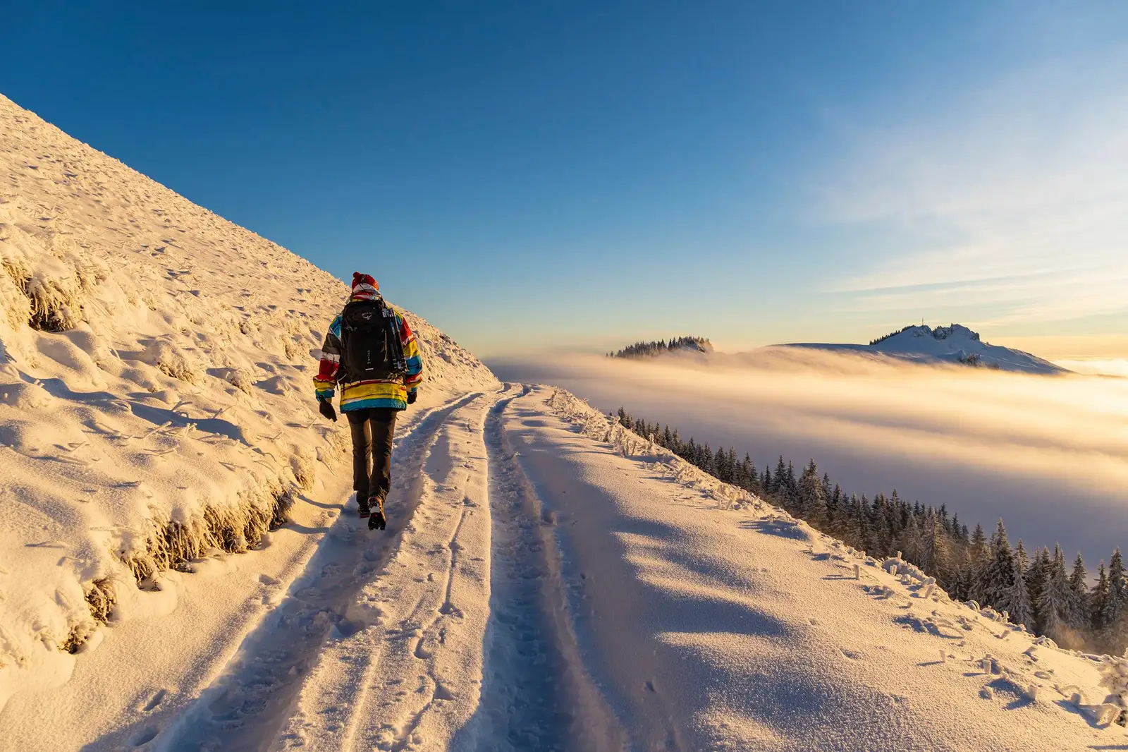  În drum spre Popii Rarăului - Andrei Pahomi