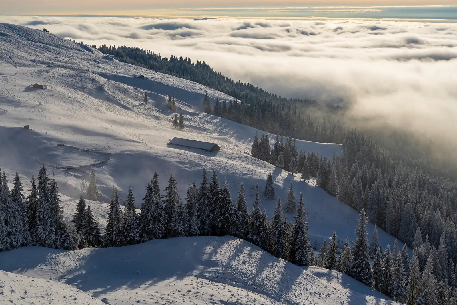  Vedere spre Stâna Haghimiș - Andrei Pahomi