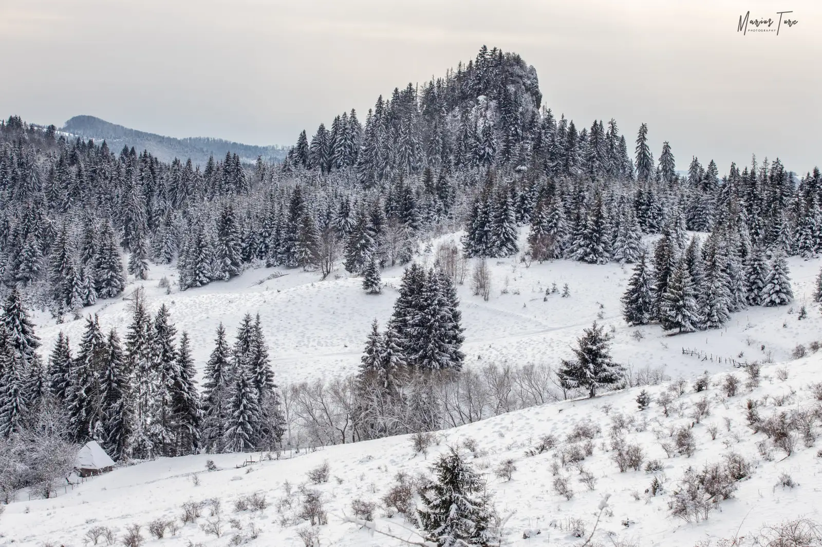  Detunata Goală - Marius Turc