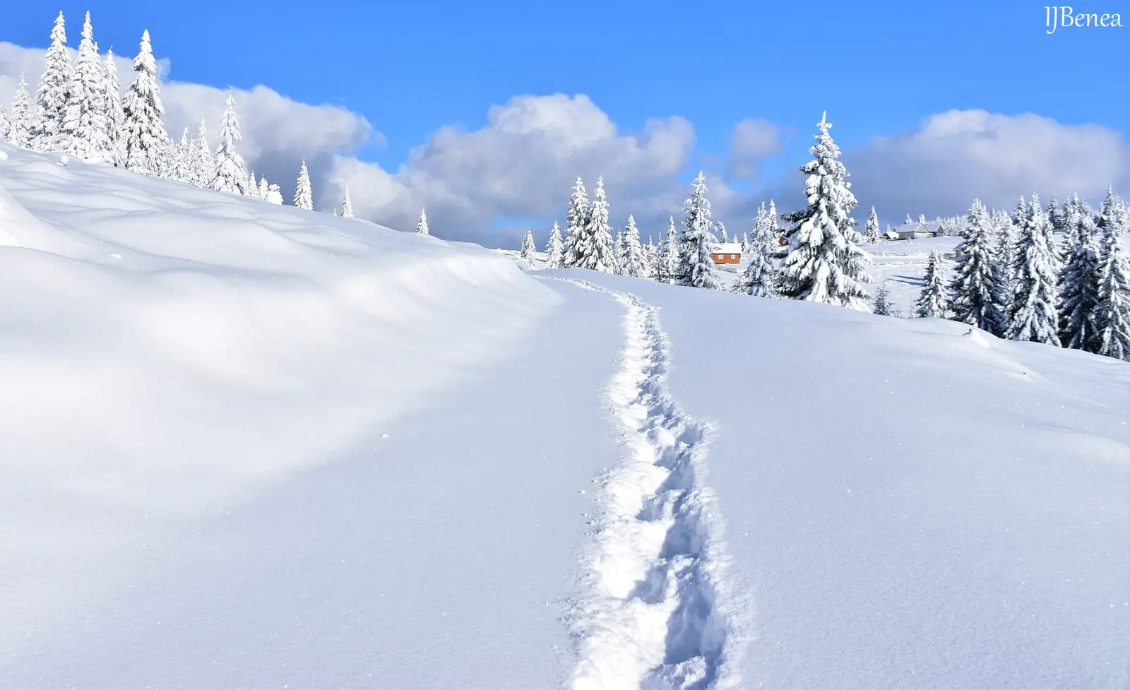  Drumul prin Imparatie iernii - Ioan Benea Jurca