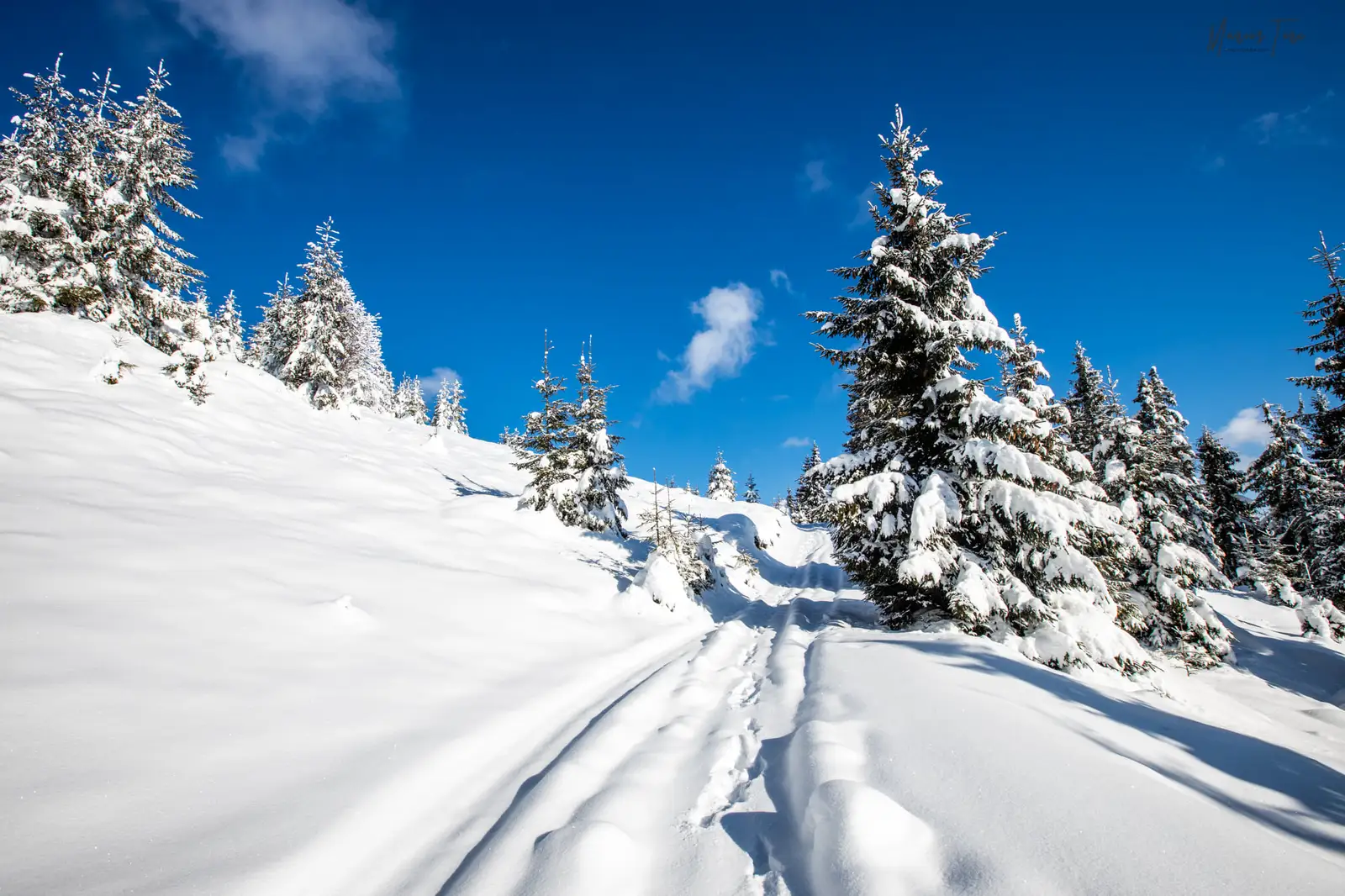  Pe masura ce inaintam frumusetile sunt tot mai mari - Marius Turc