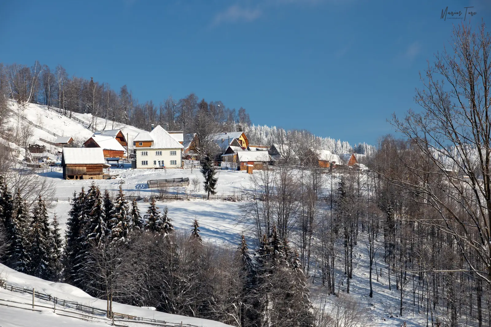  Case mandre se ridica-n fata - Marius Turc