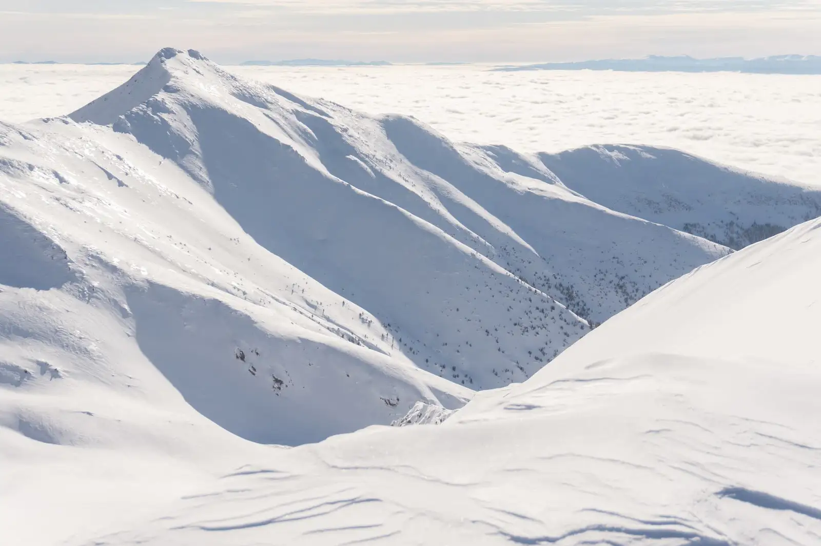 Vedere spre Vârful Roșu - Alina Cîrja