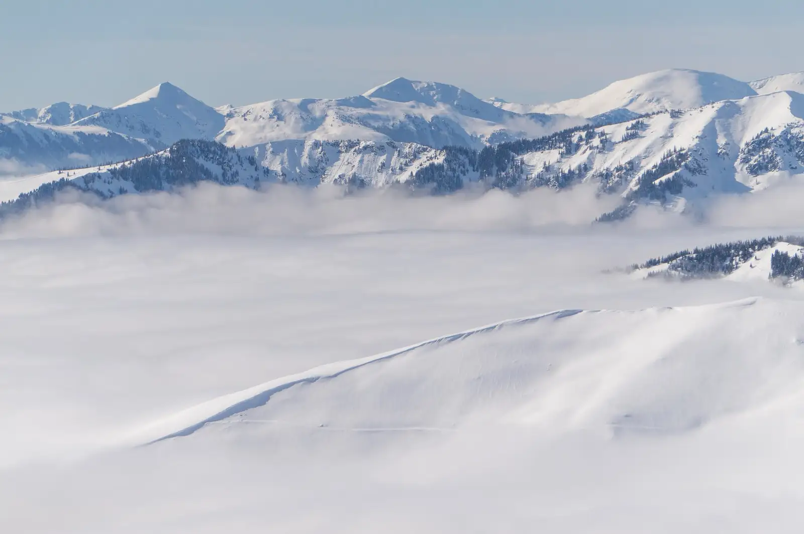 O ultimă privire spre înălțim - Alina Cîrja