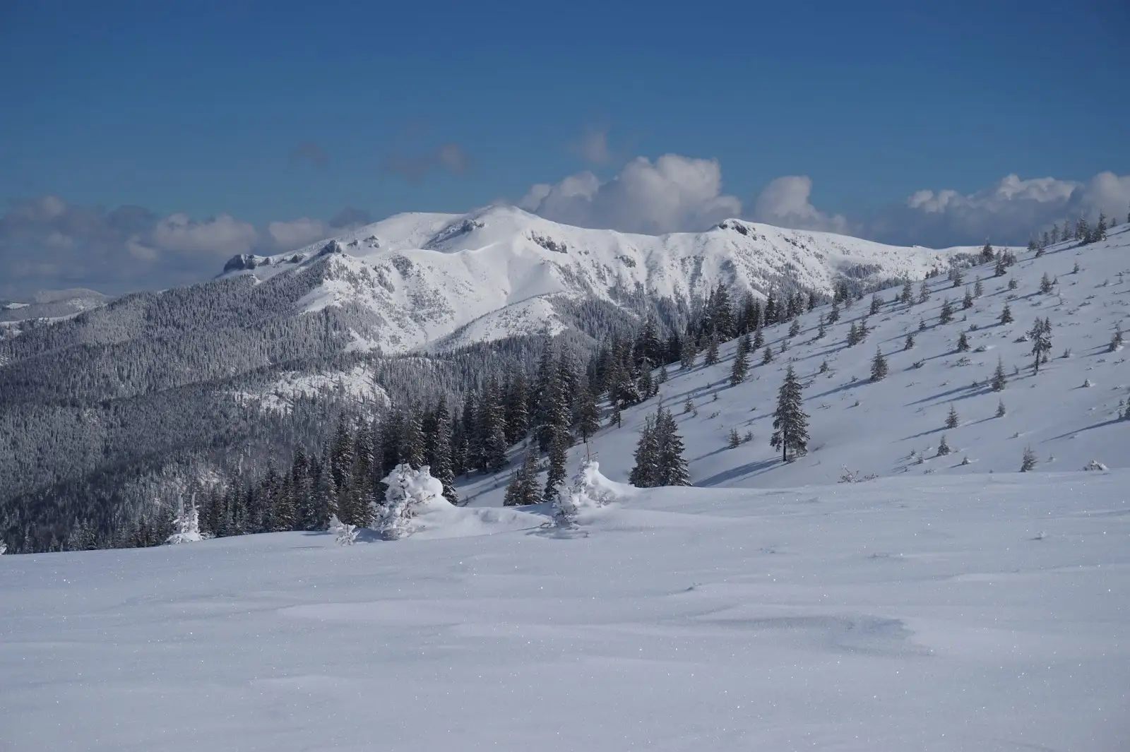  Vedere spre Cearcănul, munții Maramureșului - Alina Cîrja