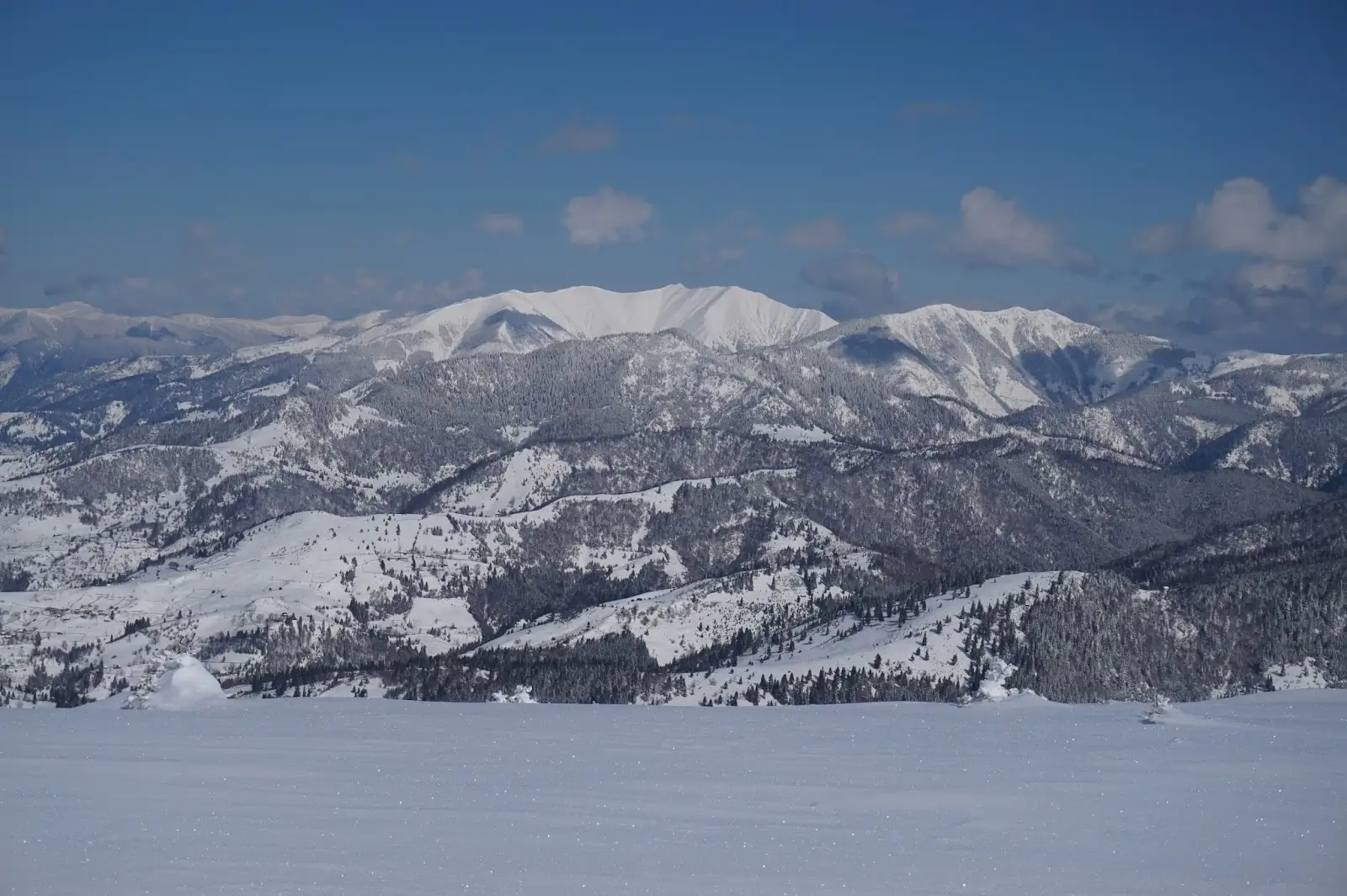  Vedere spre Toroiaga - Alina Cîrja