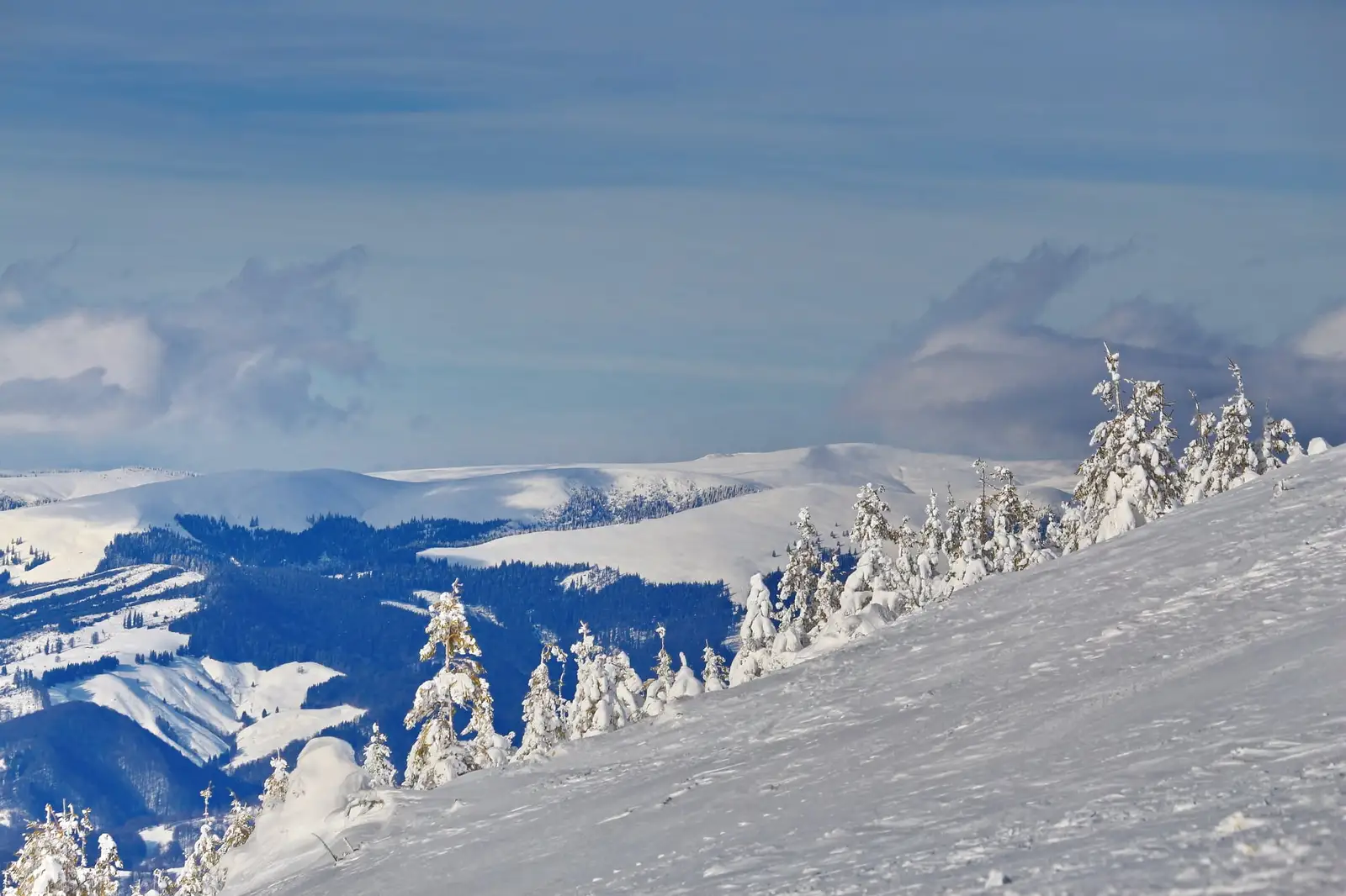  In urcare spre Parangul Mic - Liana Marin