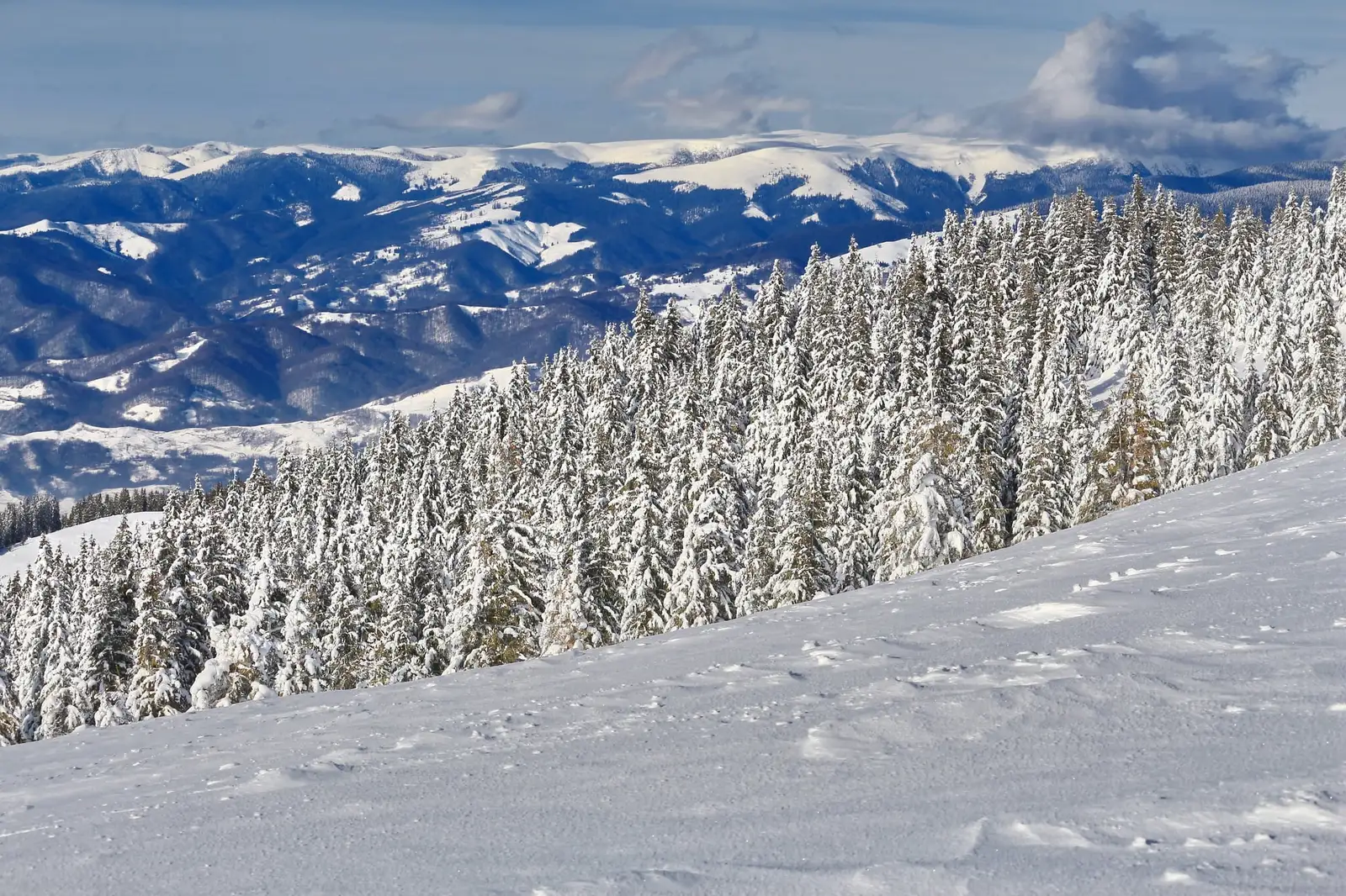  Valea Jietului si Muntii Lotrului in departare - Liana Marin