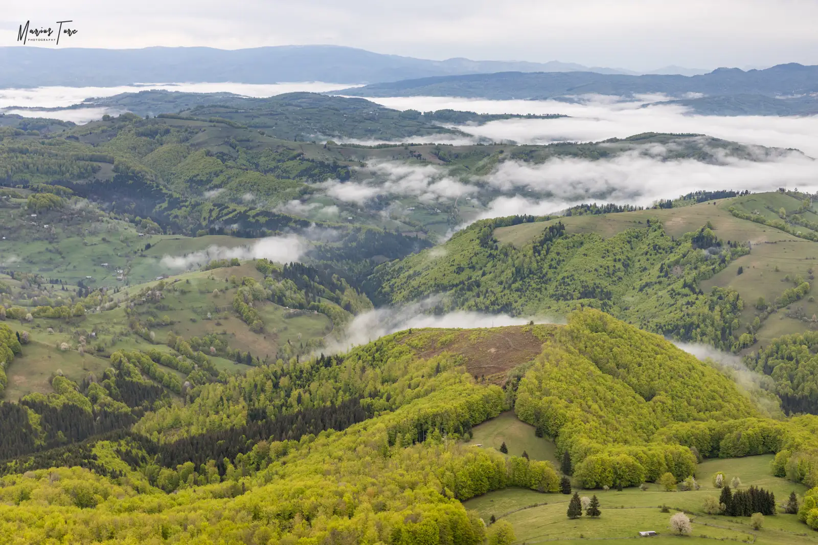 Belvedere Muntele Vulcan - Marius Turc