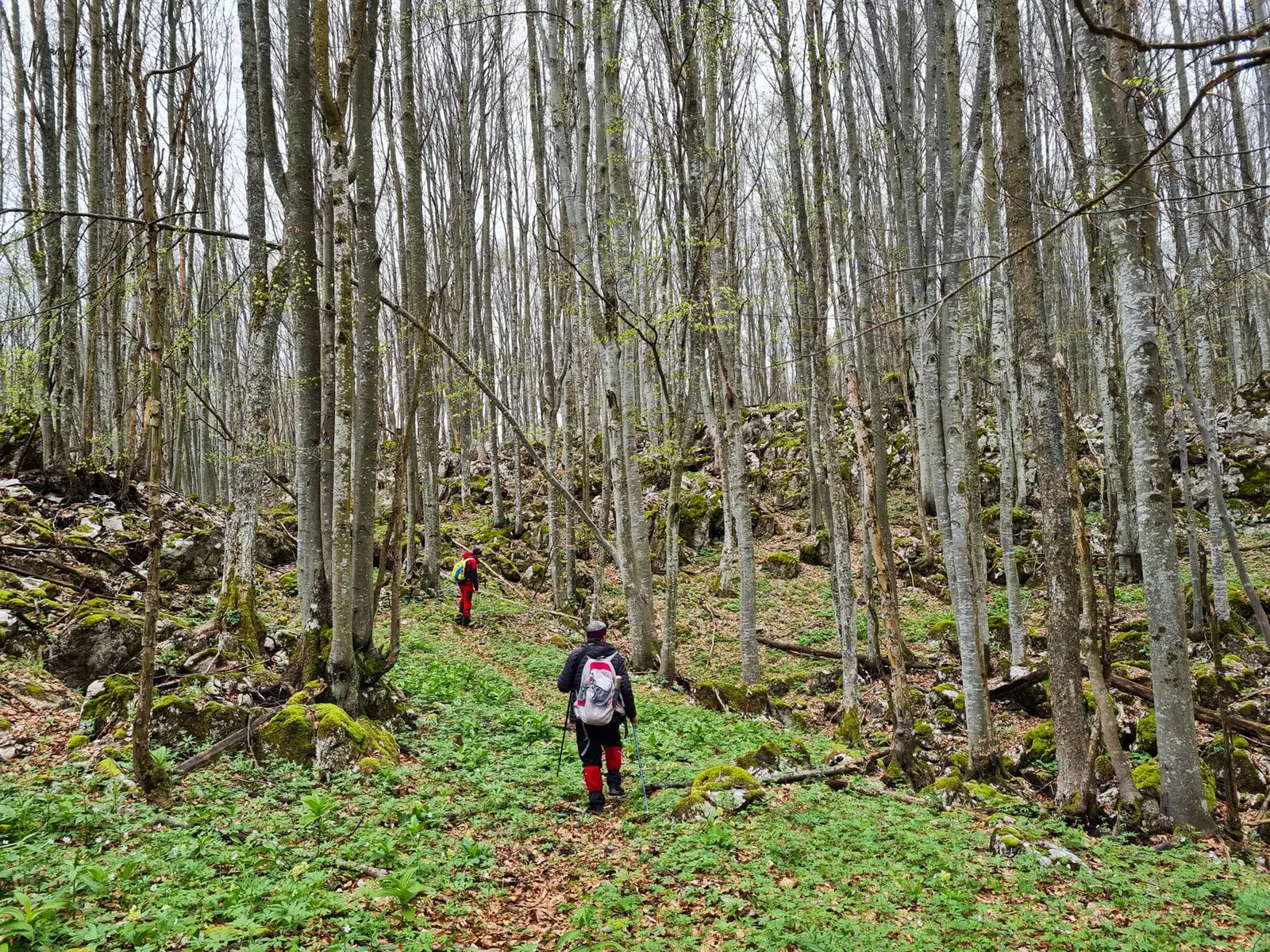 Coborârea de la colții Vulcanului - Marius Turc